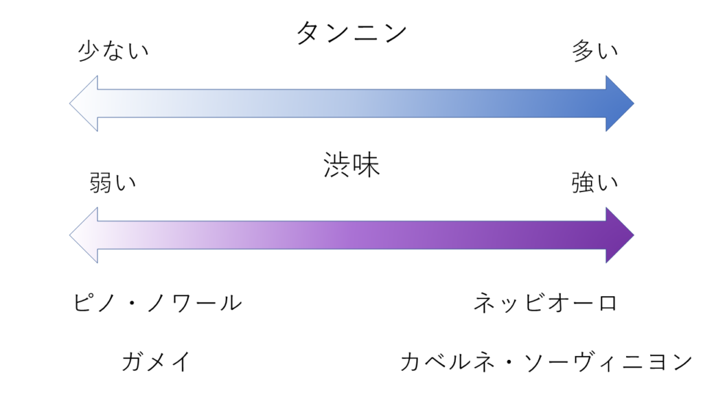 タンニンと渋味と品種差