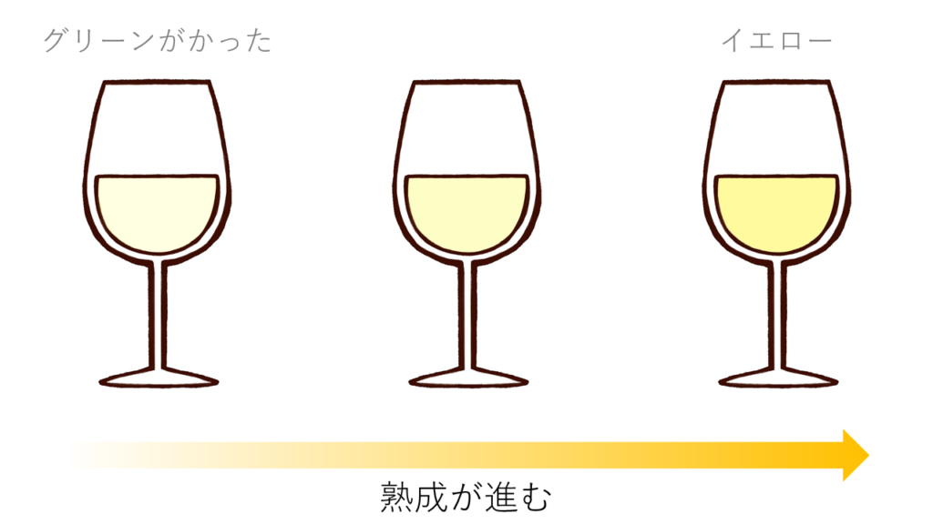白ワインの色調の変化 