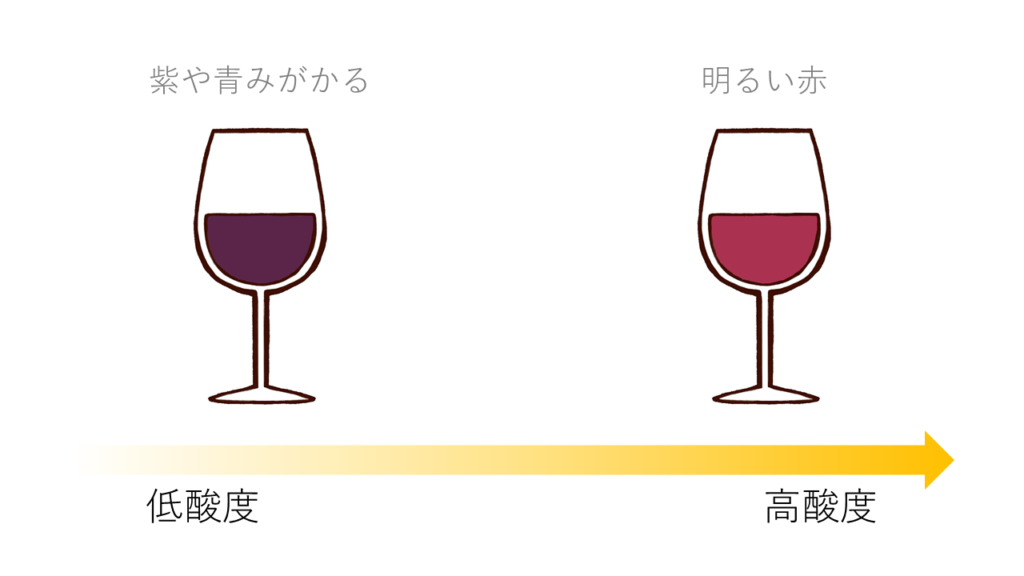 酸度による赤ワインの色の変化