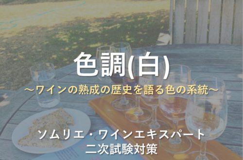 色調(白)