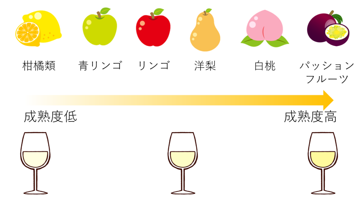 果実の香り(白) ソムリエ・ワインエキスパート二次試験 The of Wine