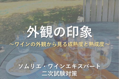 色調 赤 ソムリエ ワインエキスパート二次試験 The Planet Of Wine