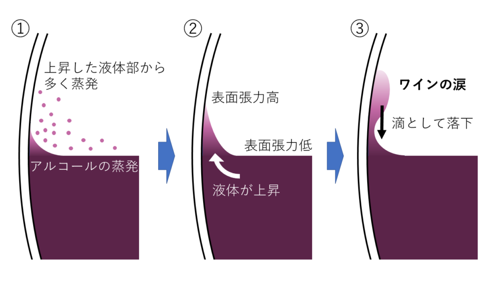 ワインの涙 The Planet Of Wine